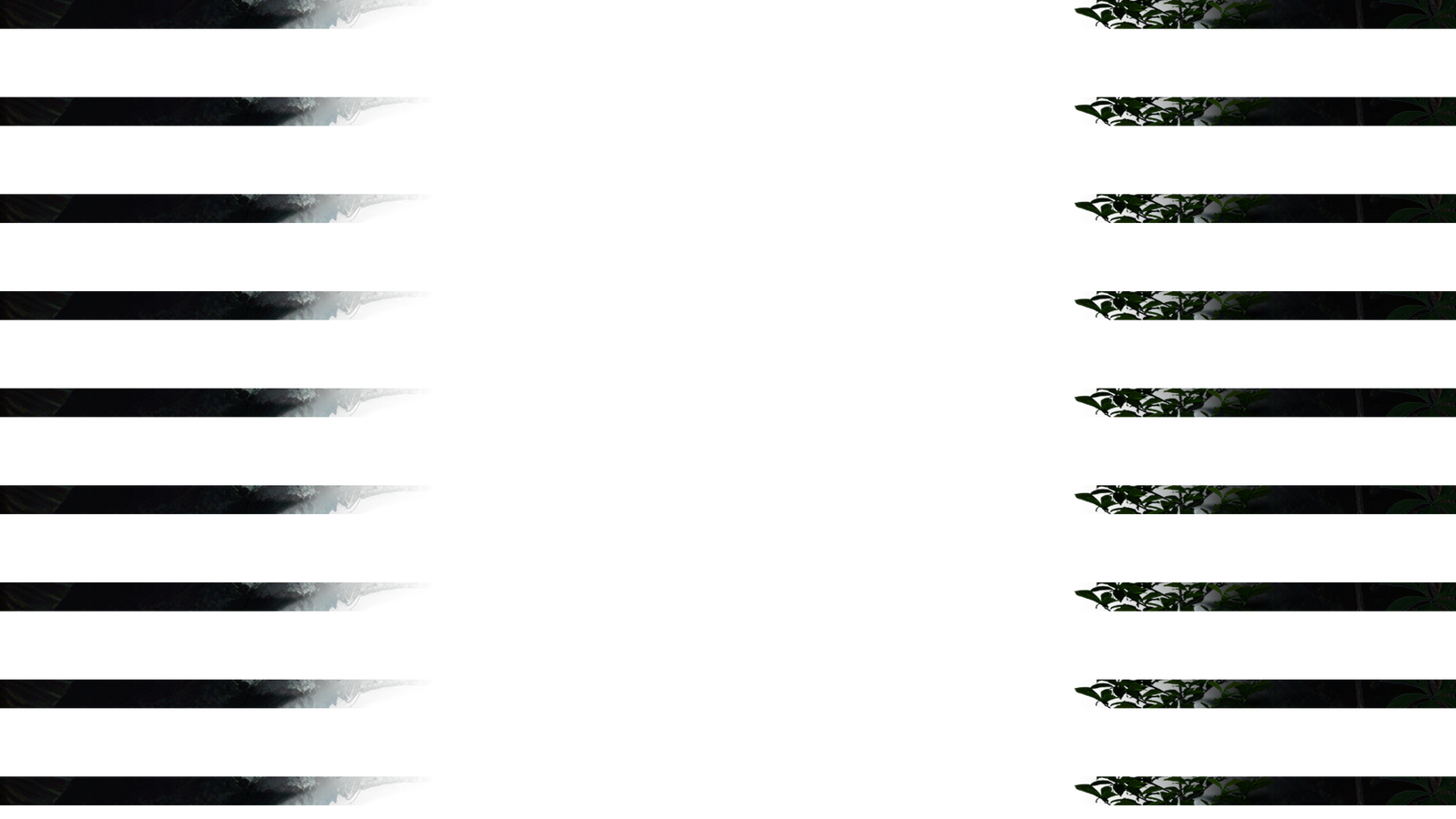 Jungle foreground left